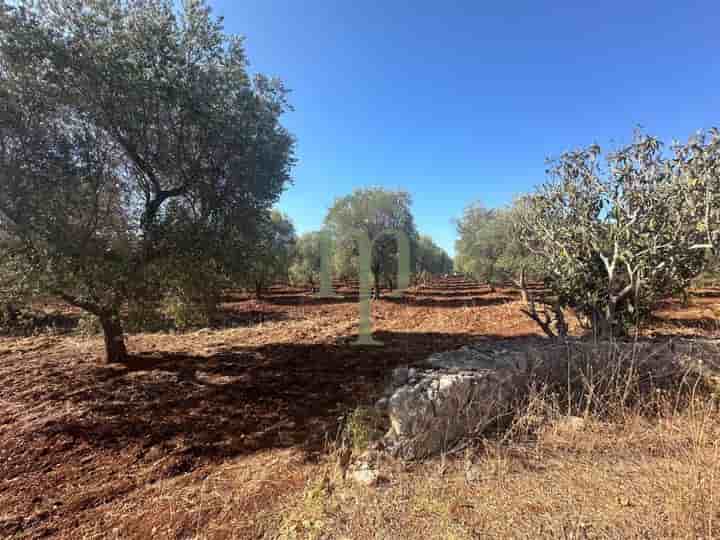 Outro para venda em San Vito dei Normanni