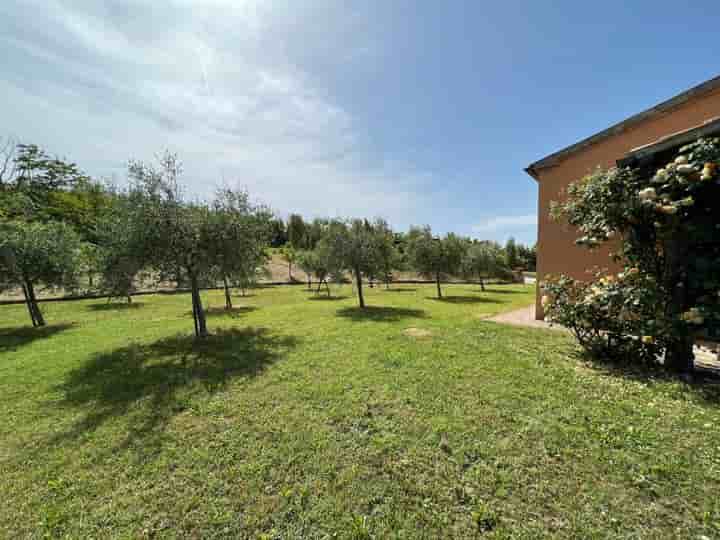 House for sale in Arcevia