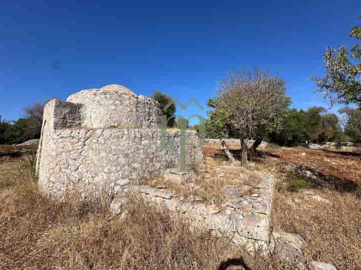 Other for sale in Carovigno