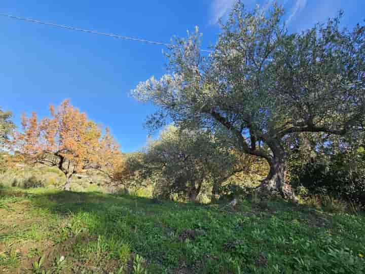 Casa para venda em Collesano