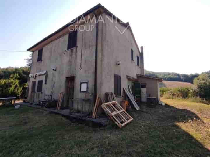 Sonstiges zum Verkauf in Manciano