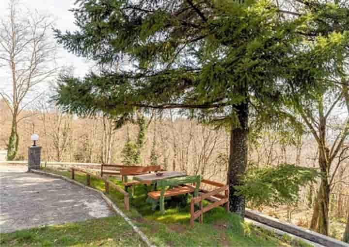 Maison à vendre à Pescia