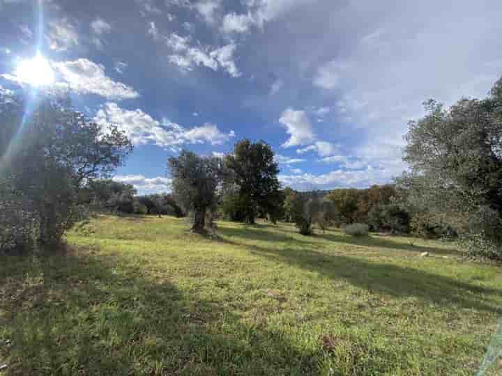 Outro para venda em Ostuni