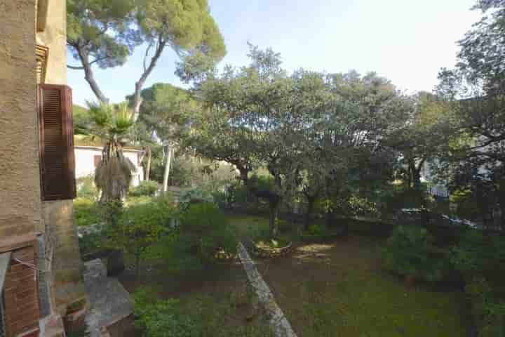 House for sale in Castiglioncello