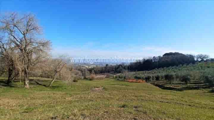 House for sale in Cetona