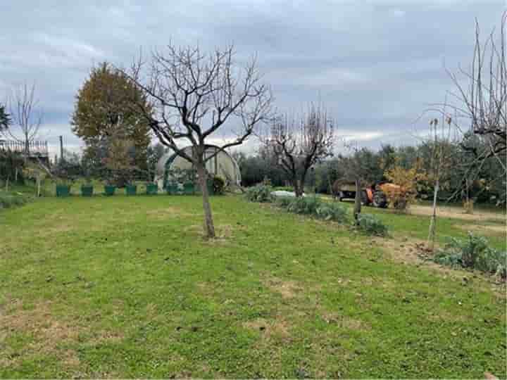 House for sale in Arezzo