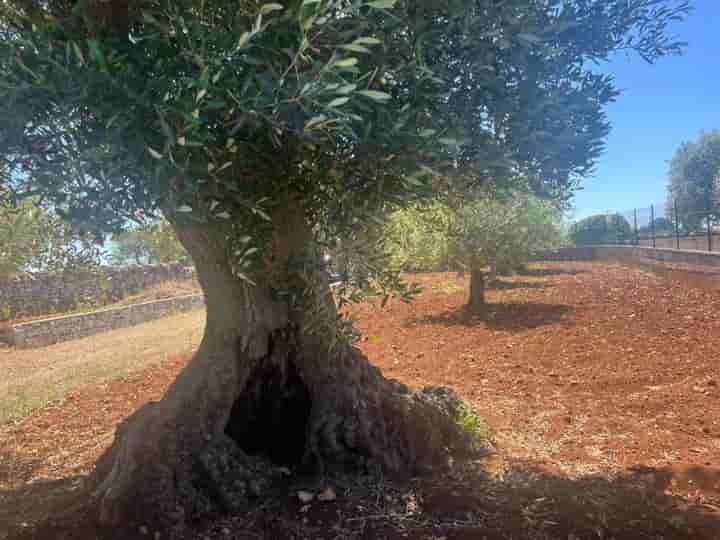 Sonstiges zum Verkauf in Martina Franca