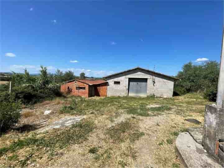 Maison à vendre à Marciano della Chiana