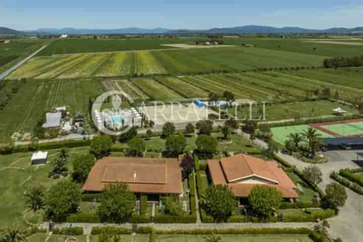 Casa para venda em Grosseto