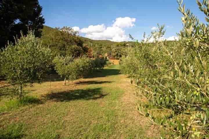 House for sale in Passignano sul Trasimeno