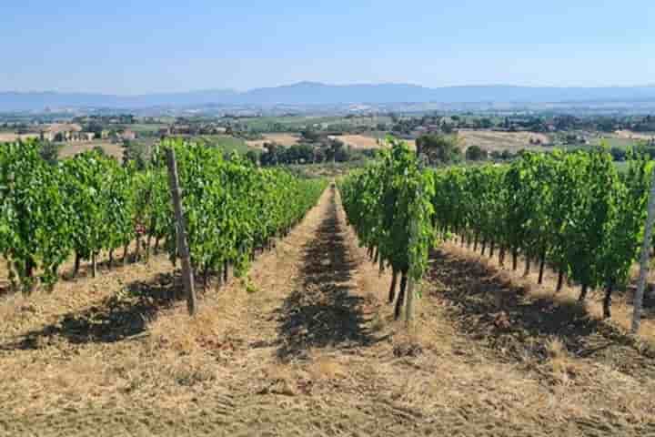 Casa in vendita a Montepulciano