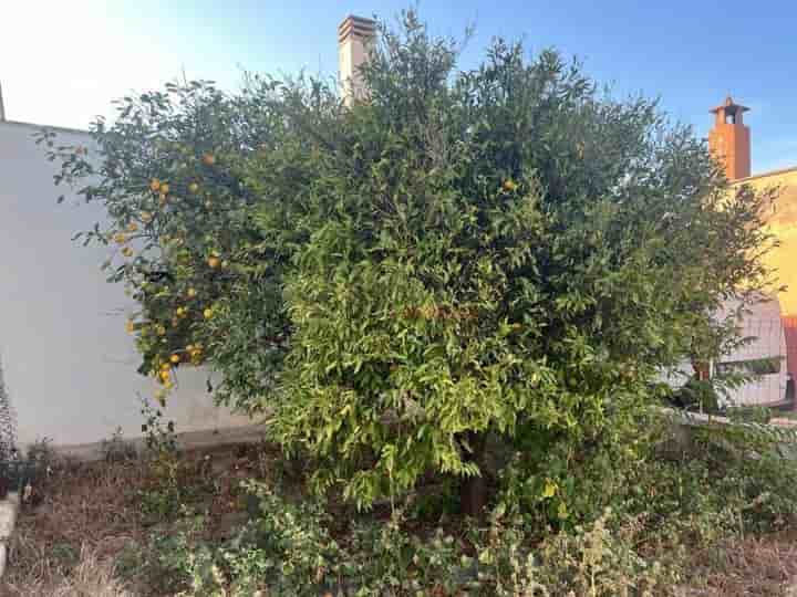 House for sale in Monopoli