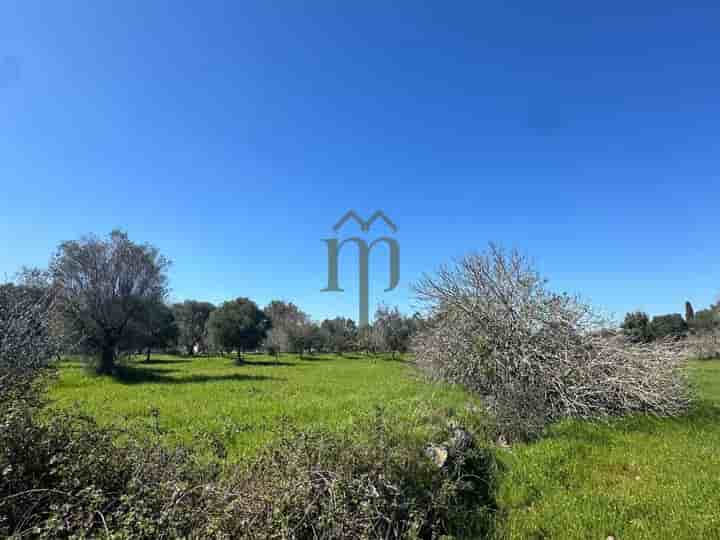 Other for sale in Carovigno