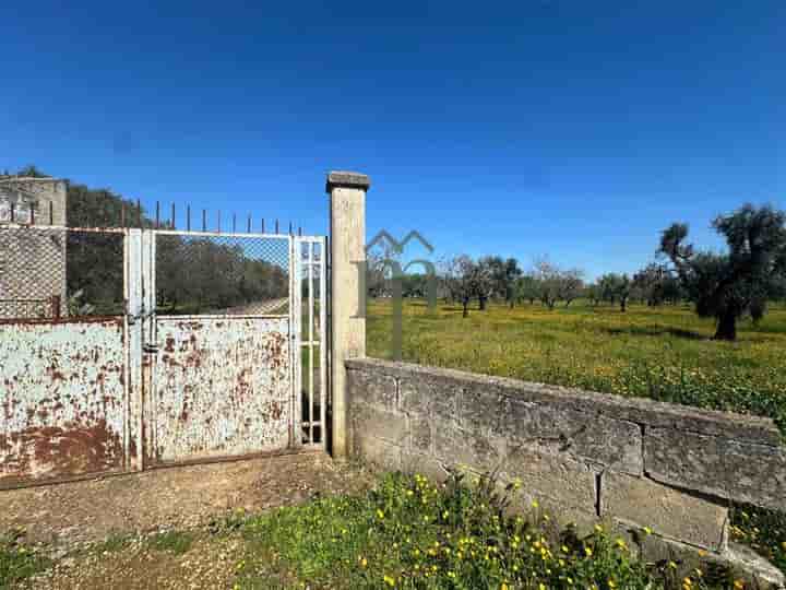 Sonstiges zum Verkauf in Carovigno