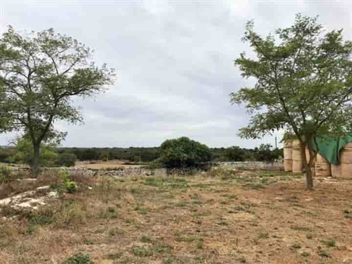 House for sale in Alberobello