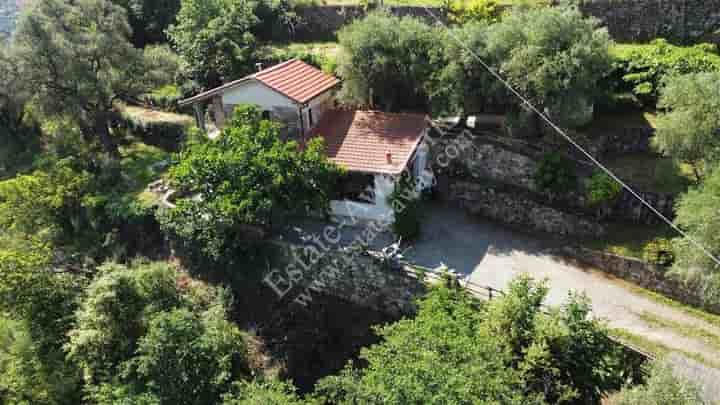 Maison à vendre à Vallebona