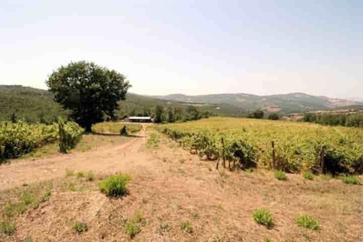 House for sale in Scansano