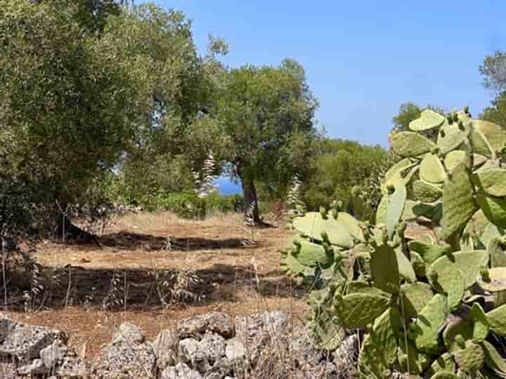 Autre à vendre à Carovigno