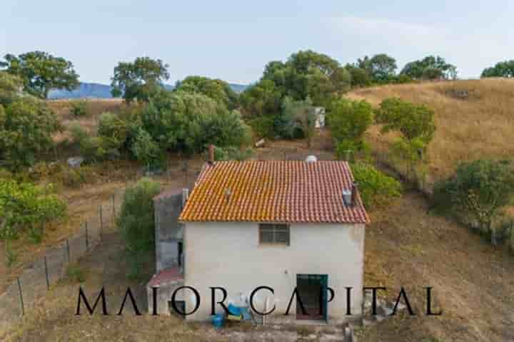 Maison à vendre à Berchidda