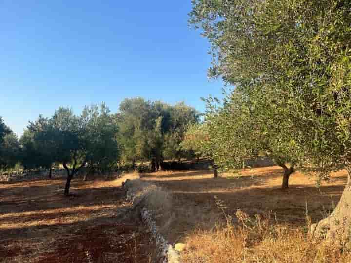 Outro para venda em Ostuni