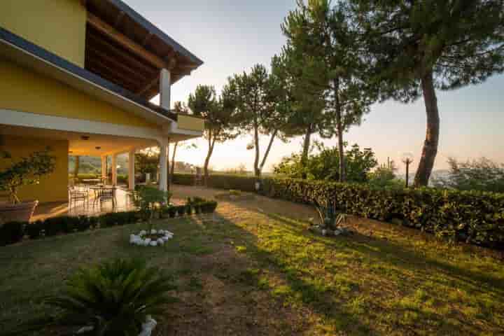 Altro in vendita a Roseto degli Abruzzi