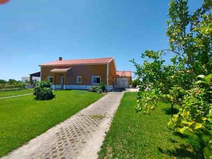 Maison à vendre à Carvalhal