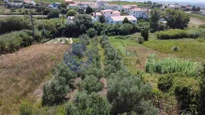 Other for sale in Gaeiras