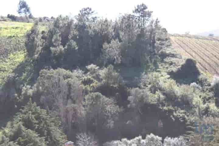 Other for sale in Turcifal