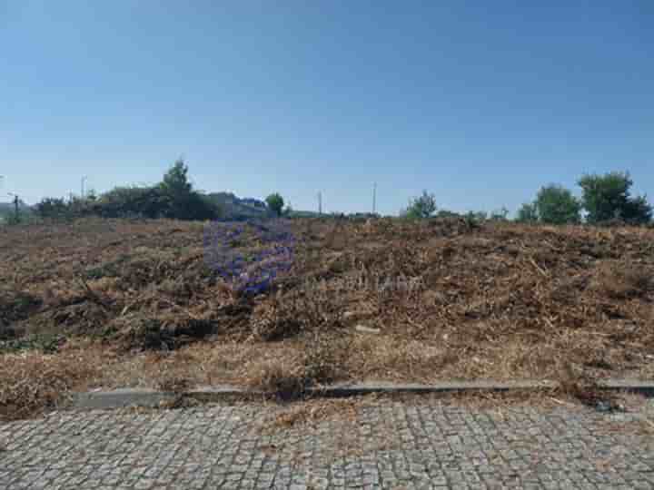 Maison à vendre à São João De Ver