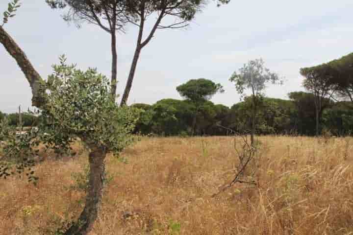 Sonstiges zum Verkauf in Sesimbra (Castelo)