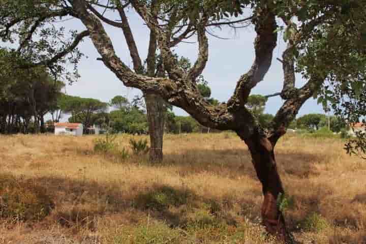 Otro en venta en Sesimbra (Castelo)