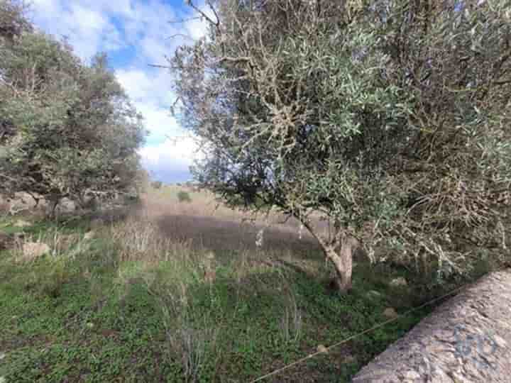 Outro para venda em Carvoeiro