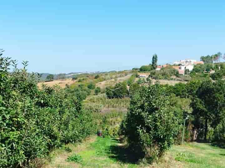 Altro in vendita a Benedita