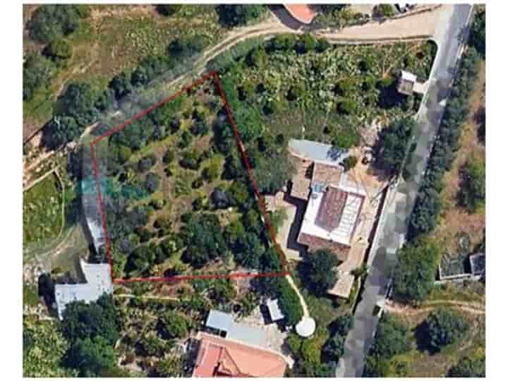 House for sale in Santa Bárbara De Nexe