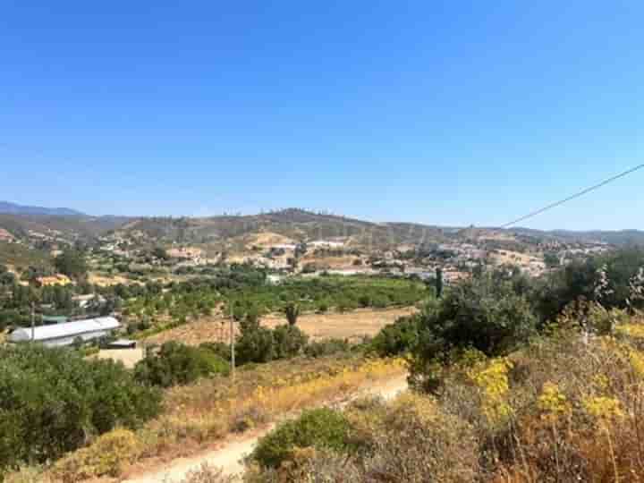 Other for sale in Silves