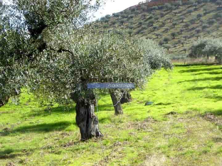 Sonstiges zum Verkauf in Santa Comba