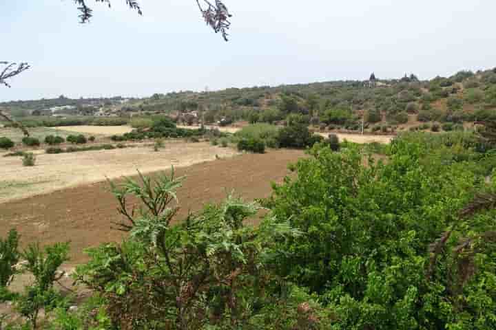 Autre à vendre à Mexilhoeira Grande