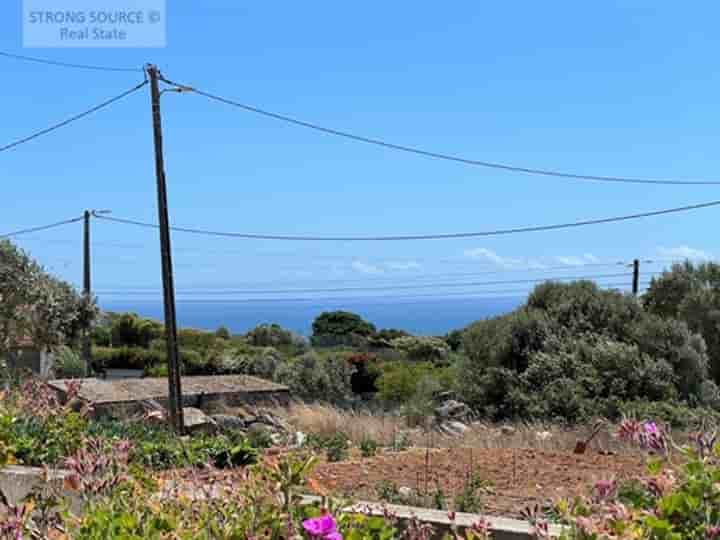 Hus till salu i Sesimbra (Castelo)