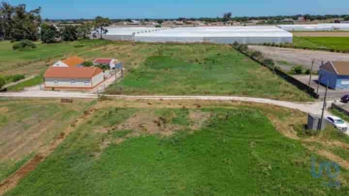 Autre à vendre à Montijo e Afonsoeiro