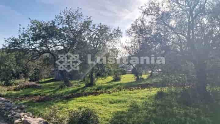 Sonstiges zum Verkauf in São Brás De Alportel