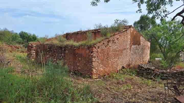 Casa in vendita a Alcantarilha e Pêra