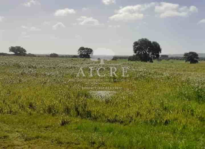 Casa para venda em Ferreira do Alentejo e Canhestros