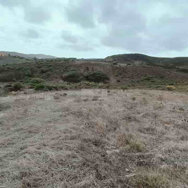 Altro in vendita a Vila do Bispo e Raposeira