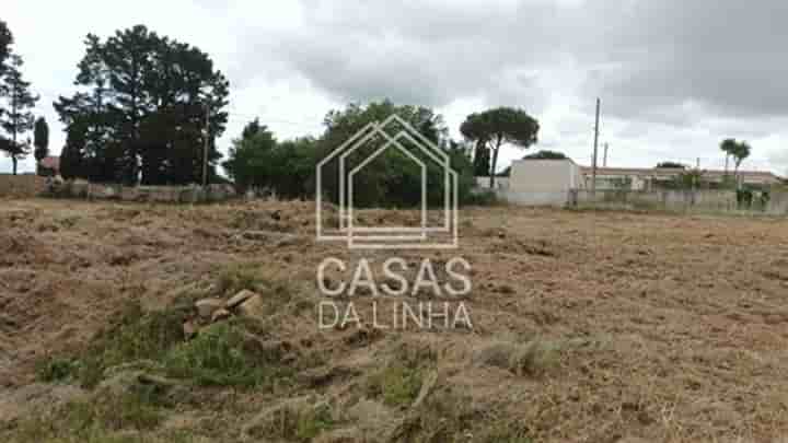 Other for sale in Santo Quintino