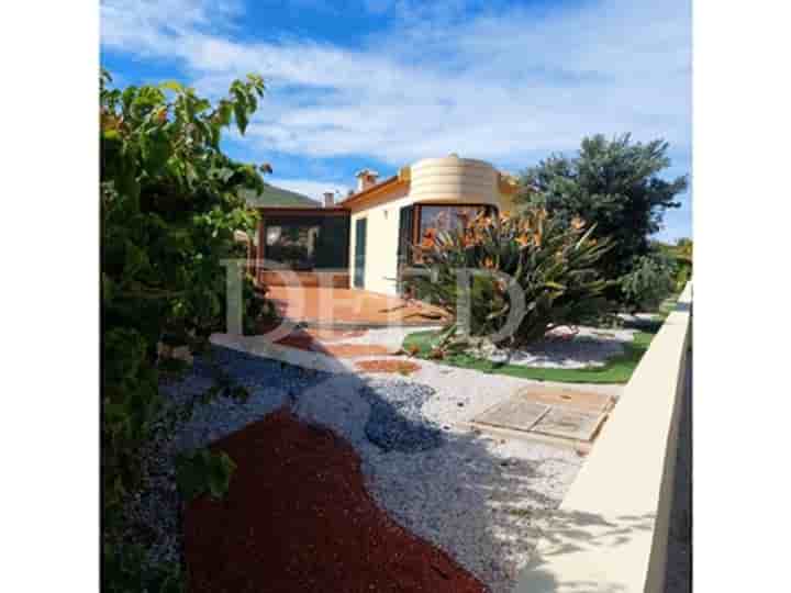 House for sale in Porto Santo Island