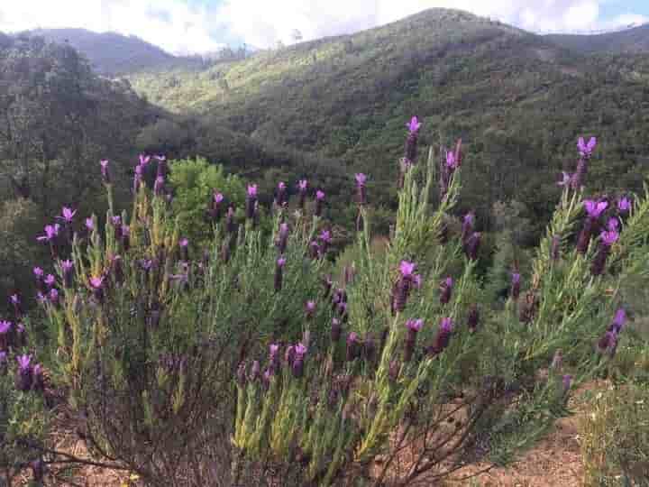 Sonstiges zum Verkauf in Aljezur