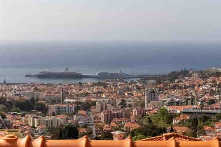 Hus till salu i Santa Luzia (Funchal)