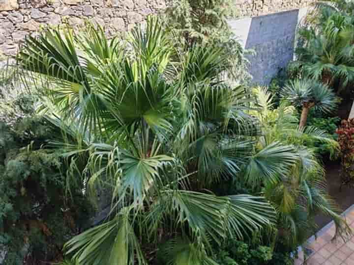 Apartamento para venda em Ponta Do Sol