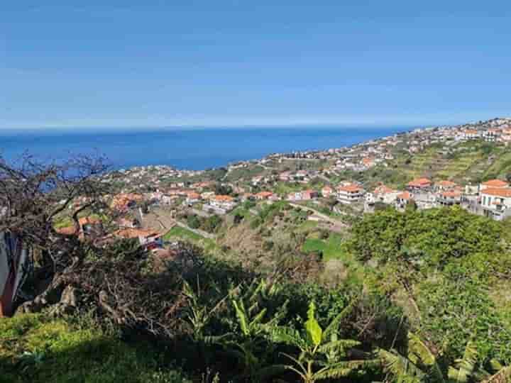 Outro para venda em Ponta Do Sol