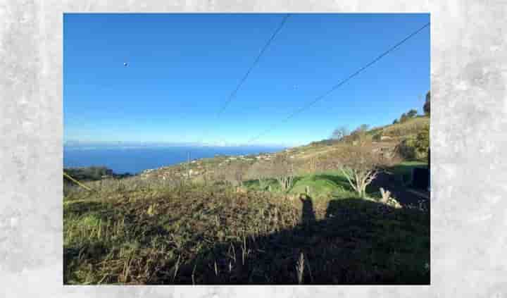 House for sale in Ponta Do Sol